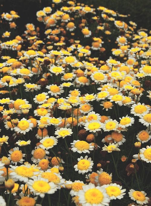 lulyhong's tweet photo. มารู้จักผมกันนน🌻🌻🌻 https://t.co/dKOrrWMaZb