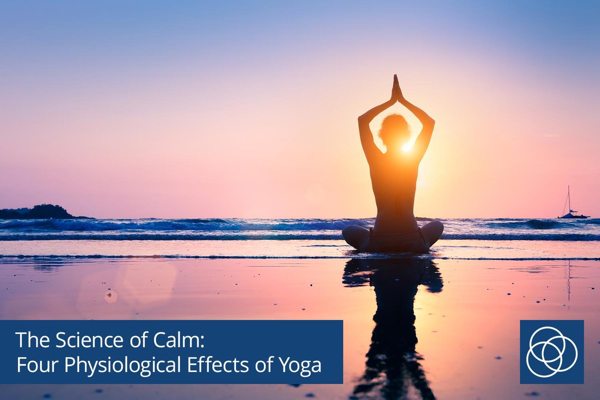 FunctionalRejuv's tweet image. Unlike the common belief that you must be naturally flexible or thin, #yoga truly is a practice that can be adapted to any fitness level, age, or body type and has many remarkable #health #benefits. fal.cn/4anq