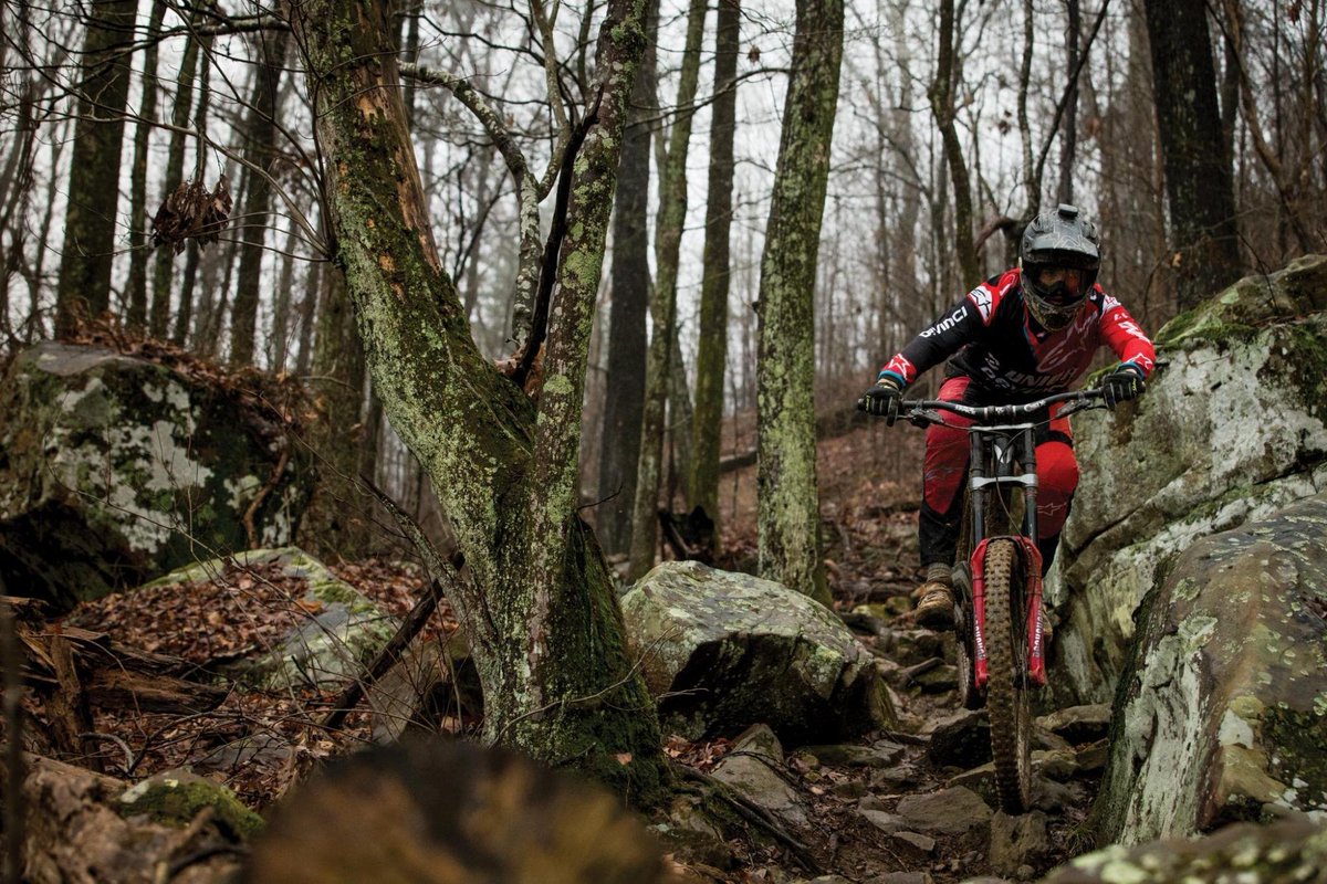 bike-components tweet media