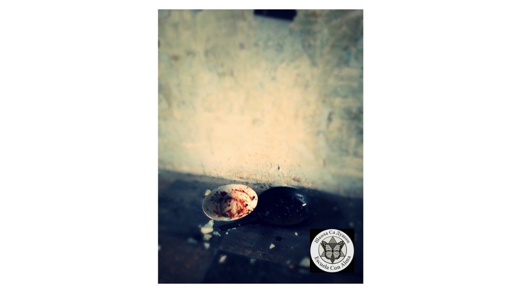 EscuelaConAlma tweet picture