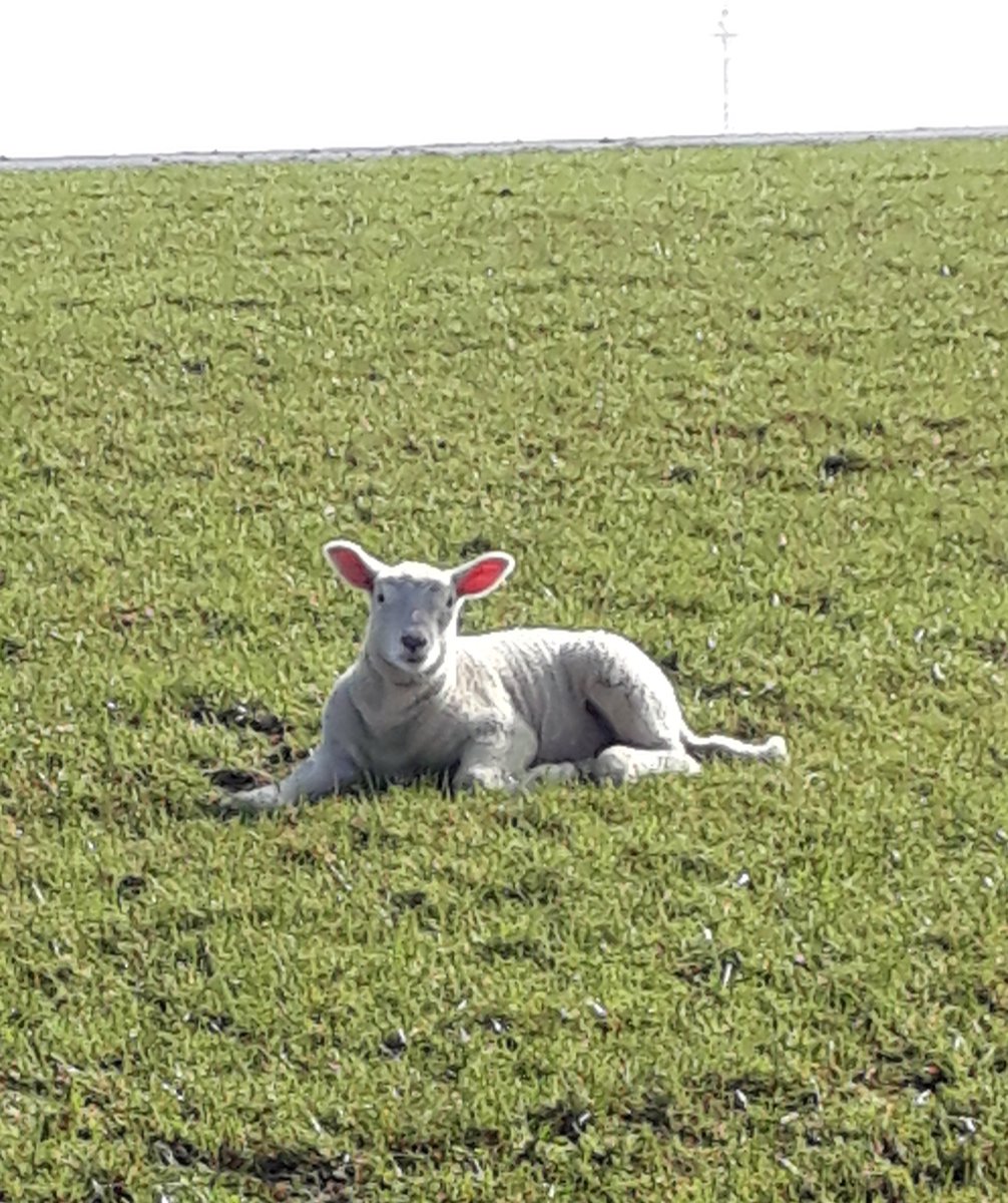 Alexander Klein tweet media