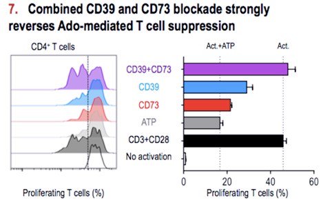 InnatePharma's tweet photo. Two new antibodies to target the #ATPadenosine immune checkpoint in #cancer: check out our preclinical data on #antiCD39 and #antiCD73 blocking antibodies at #AACR18. https://t.co/sWGbic0efe https://t.co/fSGL55uzQe
