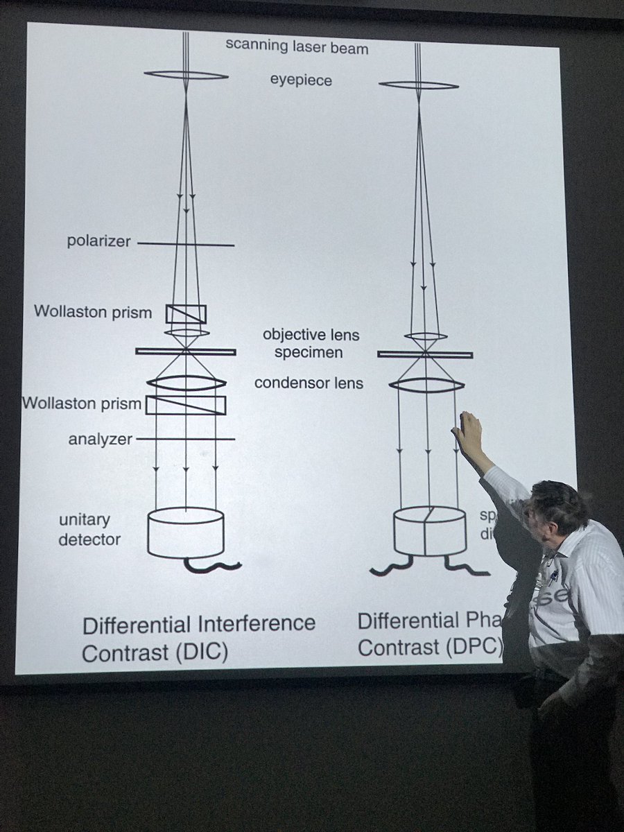 CImicroscopy's tweet photo. Brad Amos Talking about the Mesolens #CLMSpring2018 https://t.co/sehScRAeM2
