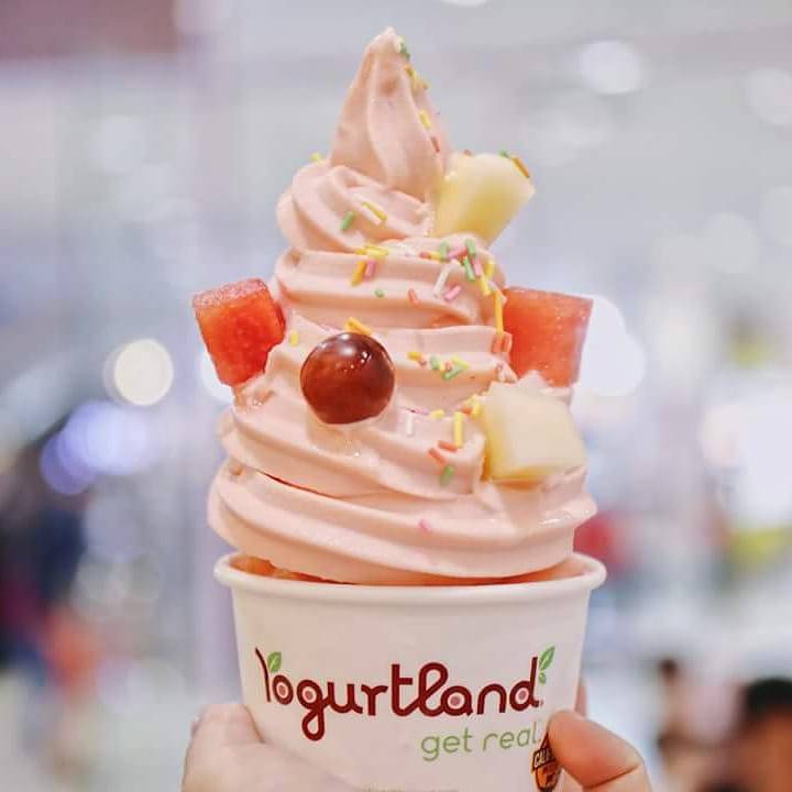 YogurtlandSM's tweet photo. Hello Santa Monica! @yogurtlandsm
.
.
.
#yogurt #yogurtland #yogurtlandsm #froyo #froyoforever #dessert #dessertporn #follow #healthy #foodie #foodstagram #foodporn #foodgasm #yummy #santamonica #yummy #realtreat https://t.co/OqOC0Jsus8