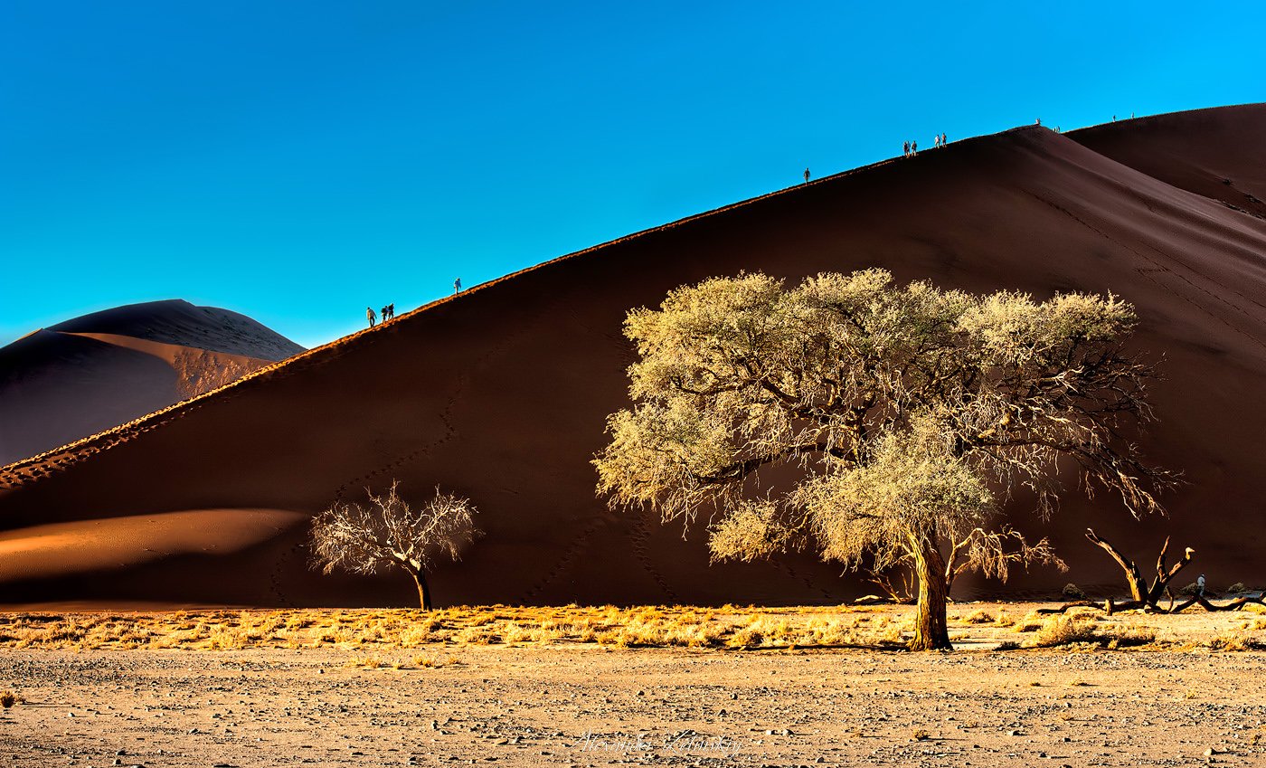 Le SAHARA, le plus grand désert du monde... - Page 3 Da_xBW_WAAAA1JE
