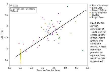 katelynjlamb's tweet photo. 3 #WSTC4 #ContMarDeb SIA: Isotopic niches overlap considerably across species. THg: Black skimmers had the highest THg concen. Trophic magnification factors(TMF) represent the avg. rate of biomagnif. per trophic level(Eq.1.). TMF>1 indicates biomagnif. The calculated TMF is 4.6. https://t.co/uWSUZVC2uU