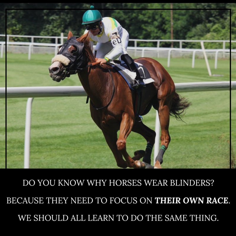 Tracy Brunet One Of My Favourite Quotes Is You Do You And I Feel The Following Picture Sums It Up Perfectly Do You Know Why Horses Wear Blinders Because They