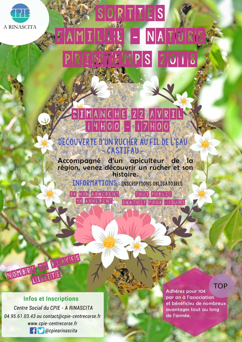 [Sortie Famille/Nature] 

Découverte d’un rucher au fil de l’eau - Castifau  🌳🐝
📍Dim 22 avril - 14h00 à 17h00
💶 Tarifs : 8 € non adhérent – 4 € adhérent
📝Inscriptions :  Centre Social au 04.95.61.03.43 - contact@cpie-centrecorse.fr

➕ d'infos : cpie-centrecorse.fr