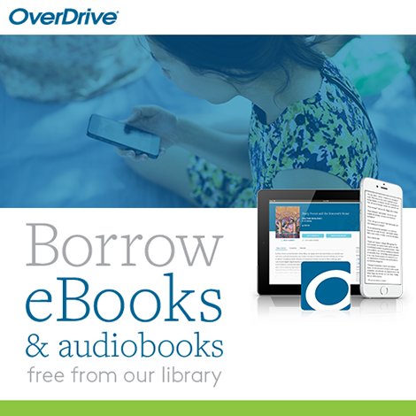 woman looking at her e-reader