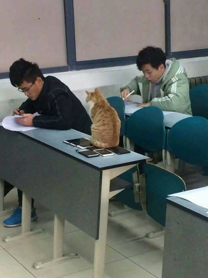 อุ๊ อิ๊ อิ๊ อ้า อิ๊ อุ๊ อุ๊ อิ๊ อิ๊ อิ๊ อ้า อิ๊อุ๊ tweet media