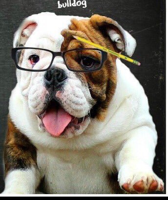 Arnold_BBI's tweet photo. Good luck to all the freshmen taking Eng. 1 STAAR today. Yall got this! #YAHTZEE #whattest #MHSGoDogs #prepared #WTD https://t.co/3a21Gq4zmk