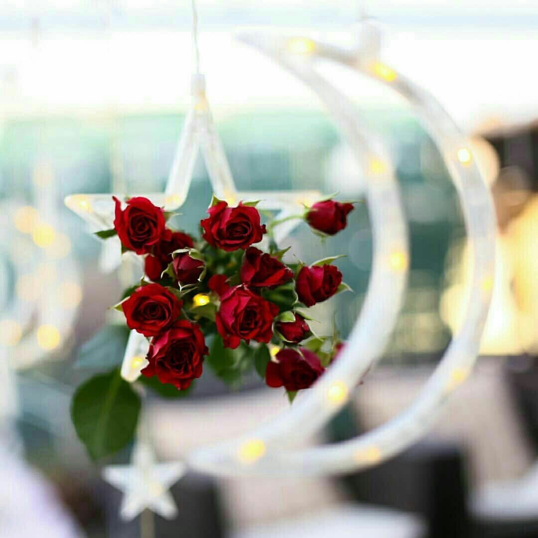 Rasna85's tweet photo. احيانا ندير ظهورنا و نسير و لا نبالي و نتناسى تلك الجروح ..
فالصمت أبلغ من كلمات 
لا تجدي لنا نفعا 🌷🍃
.
#مساء_الخير
#قروب_الحسناء_للدعم
#قروب_رجفه_للدعم https://t.co/EHaVdSnrh4