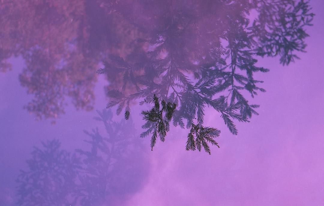 leziwok's tweet photo. Purple Double exp / pired / position
• Nikon FE2 - Nikkor 35mm 2.8 - Kodak Gold 200 Exp 2008
#believeinfilm #ishootfilm #filmisnotdead #filmphotography #nikon  #photography #kodak https://t.co/iArzFocPzJ cc @NikonFR @lomographyfr @kodakmoments_fr https://t.co/T43p2a56HB