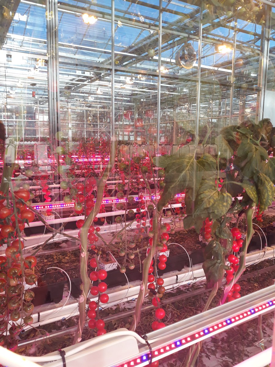 Terugblik derde editie NetSourcing Cross-Over event. Met deze keer als onderwerp Big data. ‘Hoe kunnen we slim omgaan met de data die we verzamelen?' Bekijk het filmpje voor een impressie van het event! youtube.com/watch?v=aar5za…