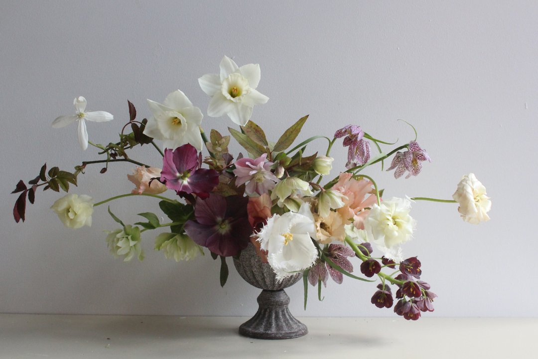 All our favourite spring flowers are bundled into this vase....
hellebores, butterfly ranunculus, tulips, fritillaria (x 2), daff's and clematis.
Hurray for spring!