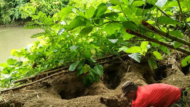 Burung Indonesia On Twitter Kisah 2 Petani Yang Dedikasikan