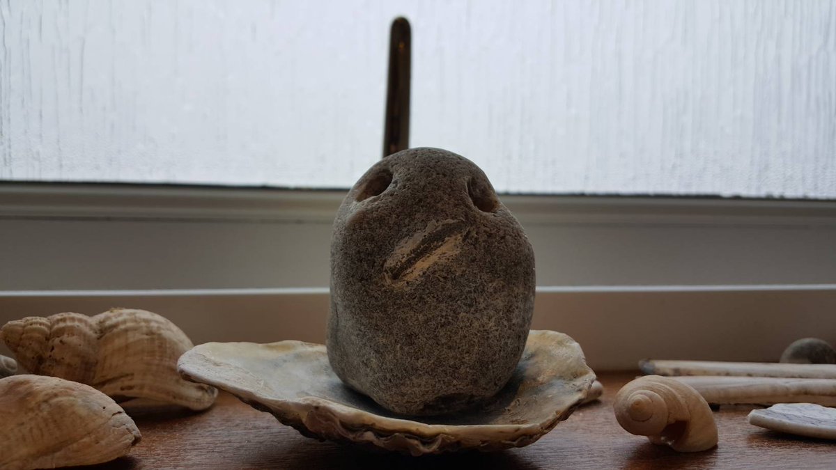 DannyMaymora's tweet photo. So much disapproval in one little rock creature... https://t.co/2Aa0IAstzf