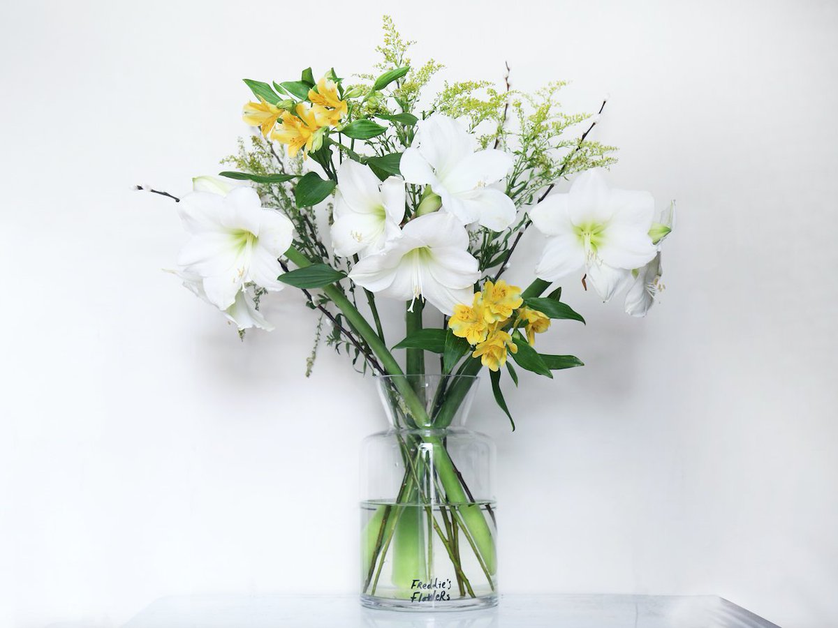 FreddiesFlowers's tweet photo. News flash! You asked and I listened. They are finally on their way. Stay tuned for more details on my fab vases. ๐๐๐ฝ
.
.
.
#freddiesflowers #vases #newsflash #freddiesfabvases #whoseexcited #freshflowers https://t.co/RkfLlxMd5l