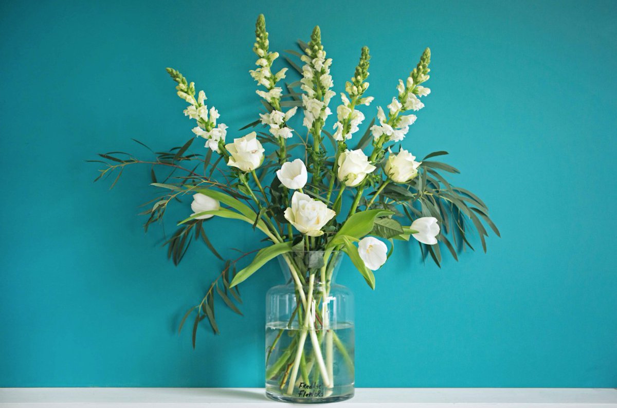 FreddiesFlowers's tweet photo. News flash! You asked and I listened. They are finally on their way. Stay tuned for more details on my fab vases. ๐๐๐ฝ
.
.
.
#freddiesflowers #vases #newsflash #freddiesfabvases #whoseexcited #freshflowers https://t.co/RkfLlxMd5l