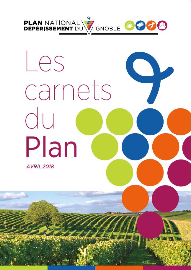 PlanDepVignoble's tweet photo. Les Carnets du @PlanDepVignoble sont disponibles ! Retrouvez 31 actions menées dans la lutte contre le #dépérissement et les témoignages de 55 acteurs du #vignoble. https://t.co/ch4Kq3IL7h https://t.co/F0WCsOLw2i
