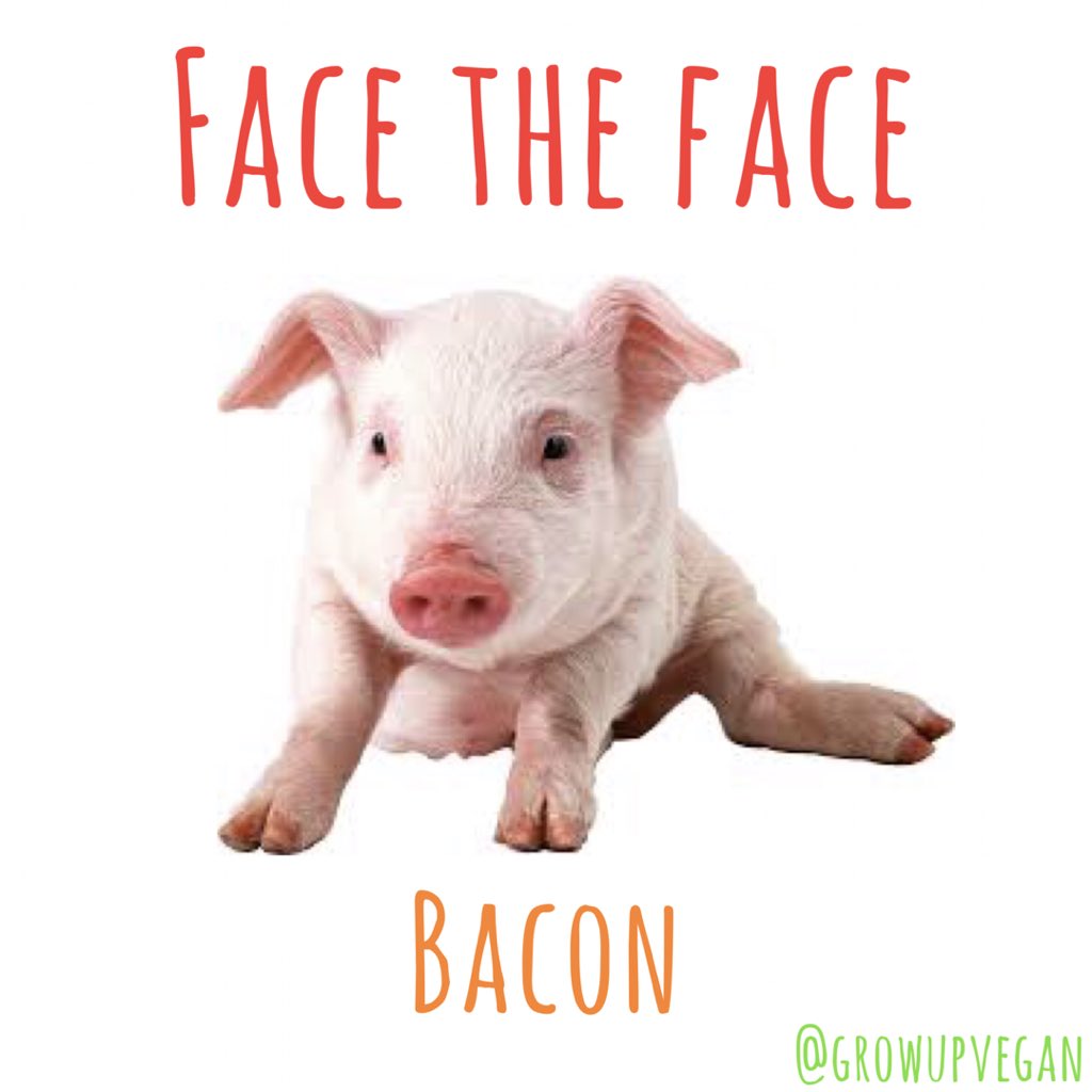 growupvegan's tweet photo. I’m going to do a series of #facetheface posts! Please retweet to get people facing the face of those they eat! 🙏🏼 It’s never too late to #growupvegan #Vegan #vegans #Veganism #pig #bacon #meat #animalrights #VeganActivist 🐷 https://t.co/yakWKIfwyt