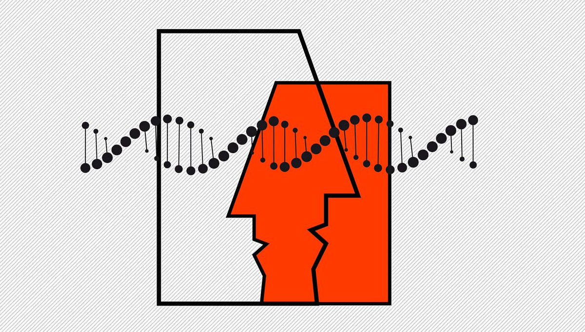 Des chercheurs ont montré que les gènes expliquent environ 10 % des variations du niveau d'empathie entre individus. La découverte des gènes impliqués devrait permettre de mieux comprendre certains troubles, comme l’autisme.
cerveauetpsycho.fr/sd/genetique/l…