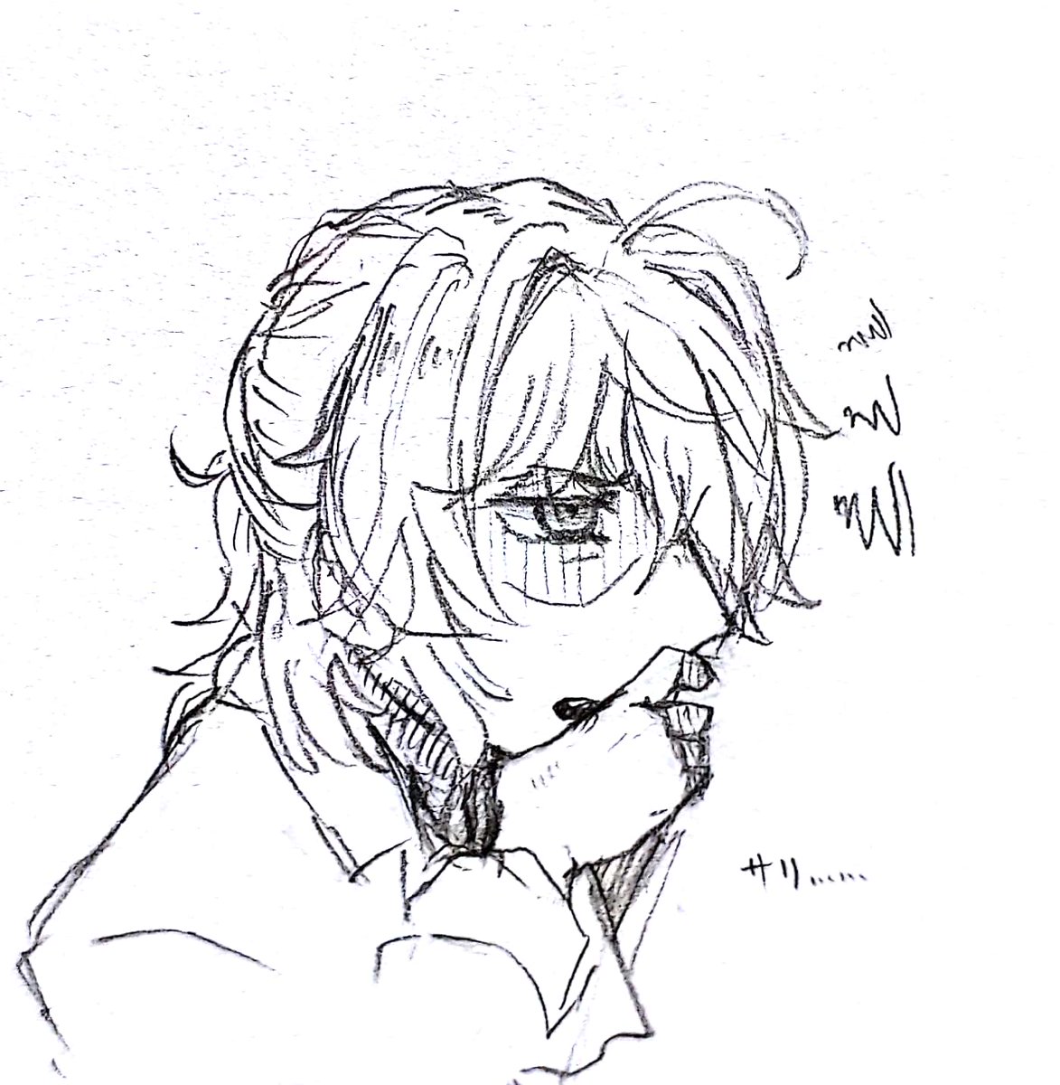 好きすぎて自分で描くと納得いかない 私の好きなサリはこんなんじゃない……