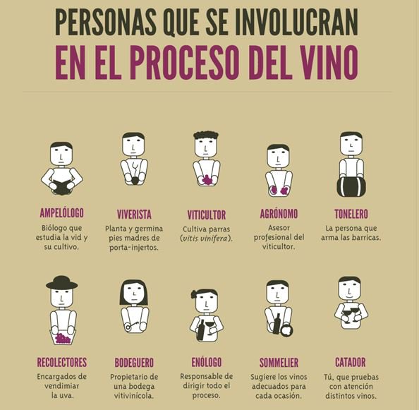 CampusVino's tweet photo. Estas son las personas que se involucran en el proceso de creación del vino
#vino #wine #winelovers https://t.co/ypBYtVnxmG
