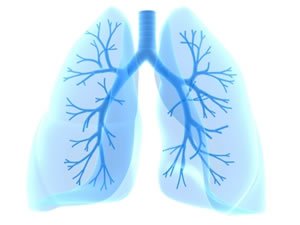 COPDSupportIre's tweet photo. COPD: Chronic Obstructive Pulmonary Disease, is a term used to include chronic bronchitis, emphysema or a combination of both conditions #letstalkCOPD https://t.co/TYH4GKhviv