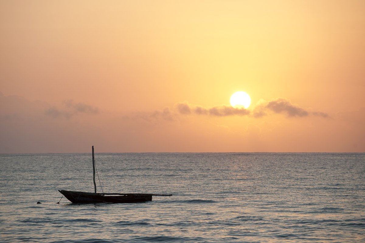 CustomSafari's tweet photo. #NeptunePalmBeachBoutique a 5* beach resort in Diani Beach awaiting you to indulge in their ALL INCLUSIVE plan.
Package includes;
*Return Flights NBO - Diani -NBO
*Accommodation on ALL INCLUSIVE
*Transfer service airport - Hotel.
For #Custompackage see post & reservation details https://t.co/MEZDARboHI