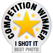 classiccarqueen's tweet photo. Winner winner chicken dinner! Can't believe I won another photo contest. *sweet* #photocontestwinner #ishotit https://t.co/WpbZc3yYqo