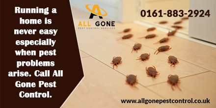 allgonepestctrl's tweet photo. Running a home is never easy especially when pest problems arise. Call All Gone Pest Control.
#pestcontrol #pests #happyliving #allgonepestcontrol #manchester
https://t.co/3PIcaTHV39 https://t.co/109wBDf6nW