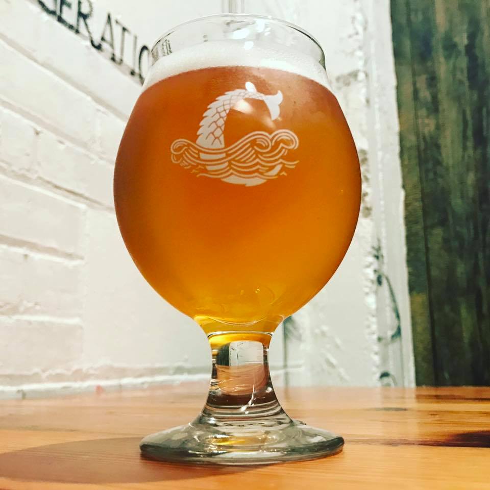 coppertail's tweet photo. Powder is back. Mosaic and Simcoe lupulin powder (over a pound per barrel). Tons of tropical fruit notes with soft bitterness. 6% ABV. #coppertailbrewing #ybor #tampa #ipa #hoppowder #lupulinpowder https://t.co/RXITROoCMB