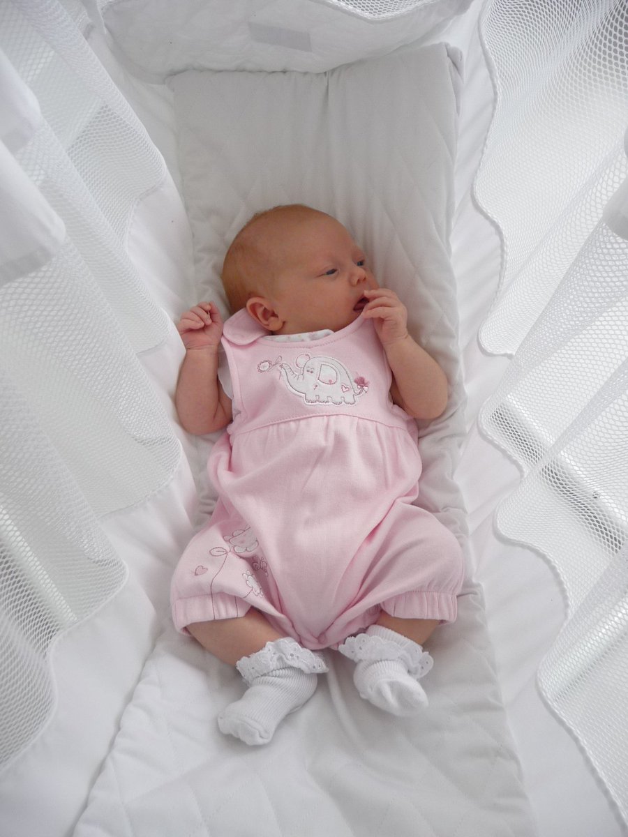 HOT DEAL - Poco baby hammock 40% Off, only whilst stock lasthttp://www.pocobabyhammocks.co.uk/products/baby-hammocks/
#baby#nursery#cots#crib#deals#specialoffers#babyequipment#babysleep#pregnant#pregnancy#newborn#colic#reflux#babynotsleeping