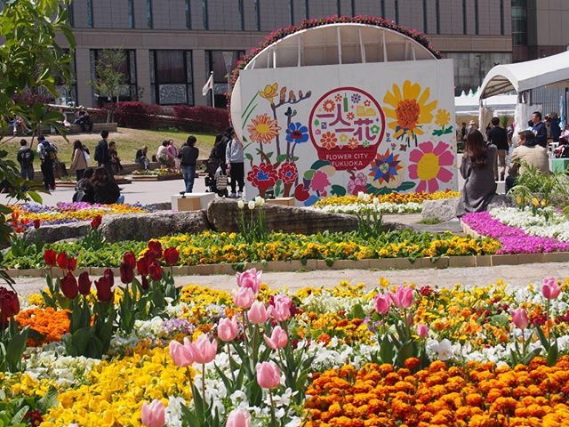 一人一花運動 A Twitter 一人一花スプリングフェス開催中 明日からは天気がくずれるようなので ぜひお早めに警固公園にご来園下さい 一人一花 一人一花スプリングフェス 福岡市 警固公園 グリッピ