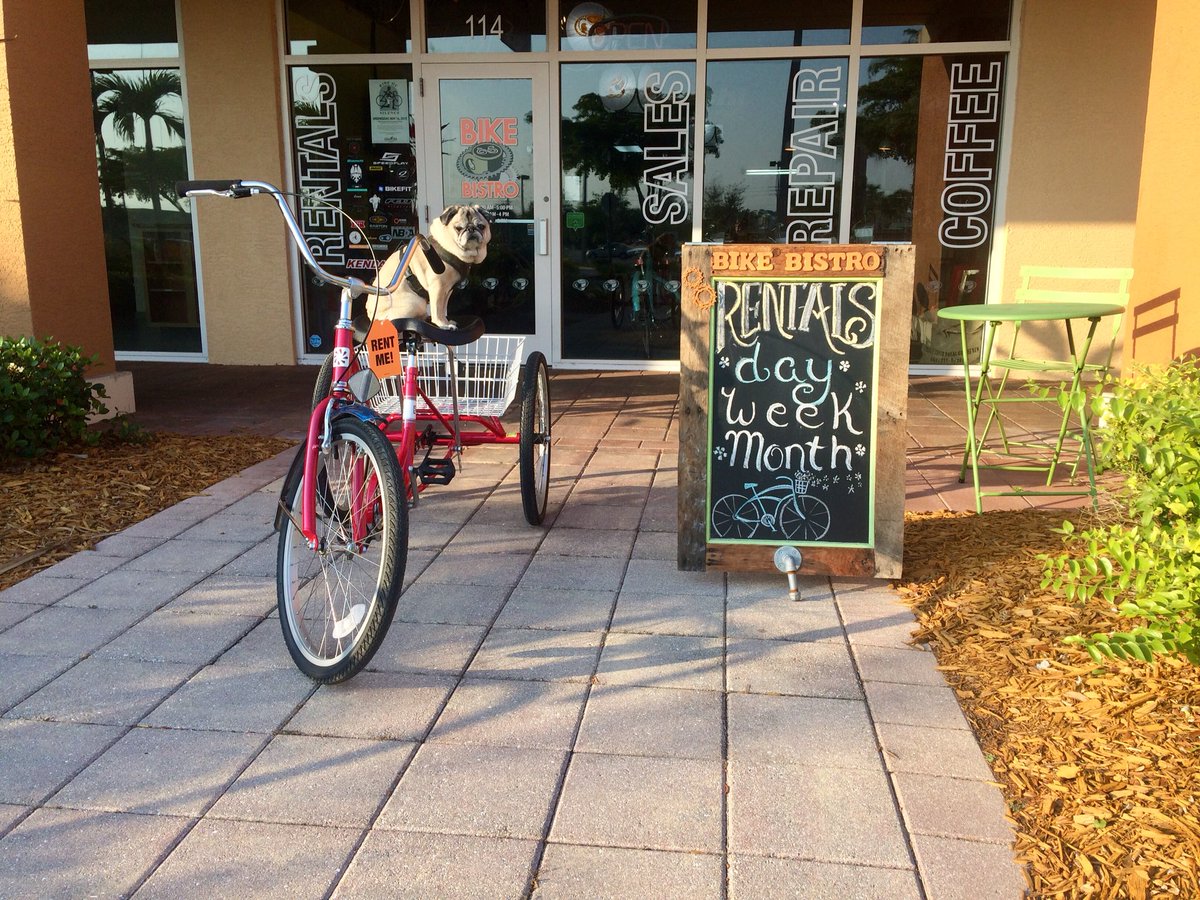 thebikebistro's tweet photo. It’s a great day for a bike ride! #goride #justbike #sunbikes #dogslovebikerides @SUNBICYCLES https://t.co/wOtC6zGwIE