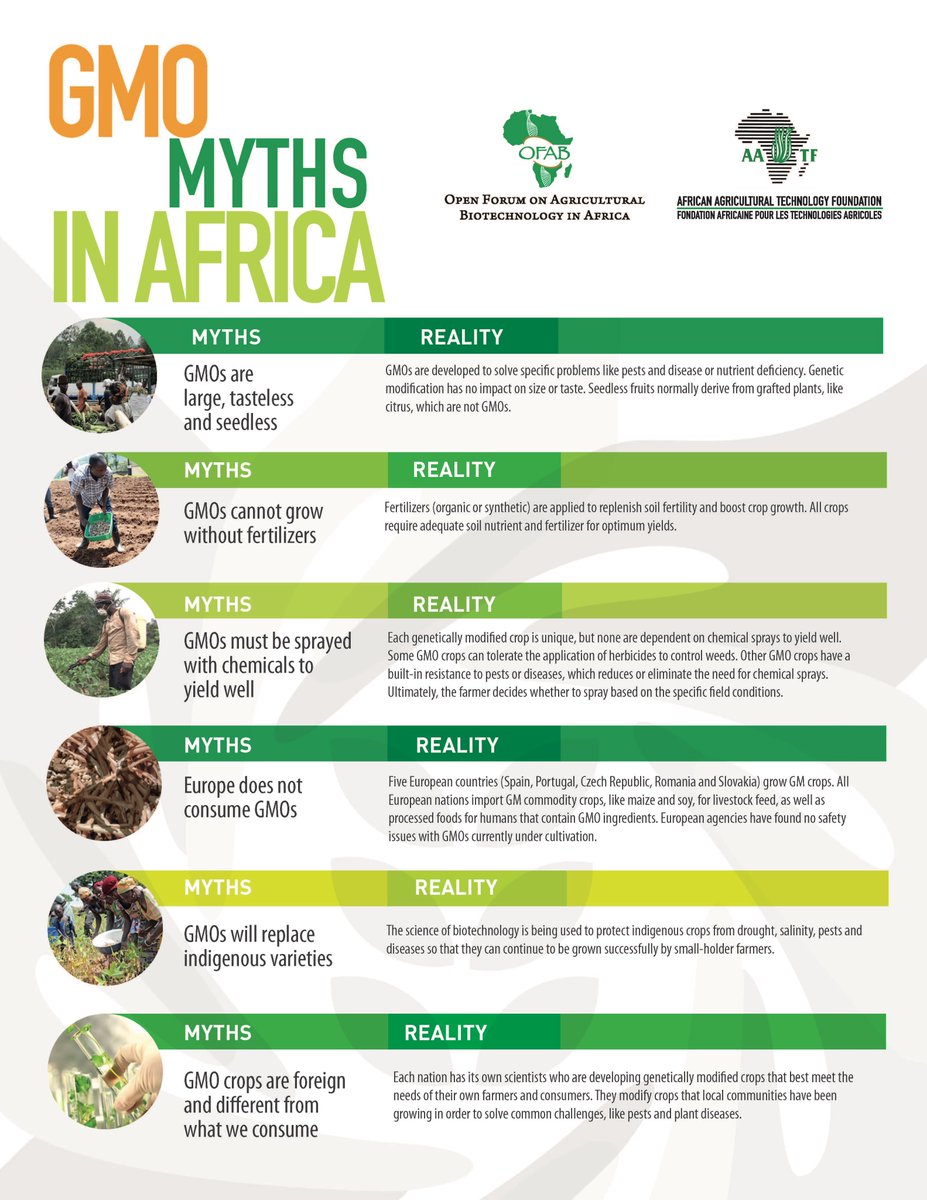 onguisaac's tweet photo. GMO myths in #Africa #Uganda! You might want to crosscheck what the facts are @Parliament_Ug @UgandaMediaCent https://t.co/nyMTci3hja