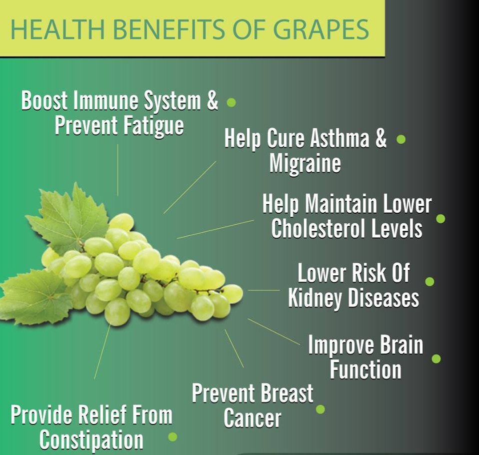 lifemartini's tweet photo. Why should you have grapes
#grapes #benefits https://t.co/nvzyusdAdF