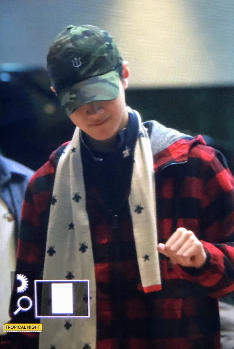 Gucci bee scarf wool Sale