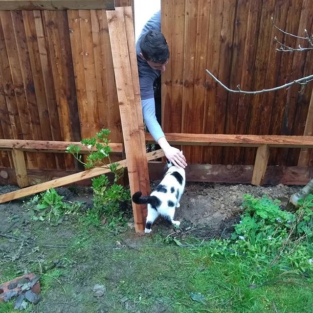 @mollett_games made a friend! #fencing #landscaping #crystalpalace ift.tt/2ExaFKJ