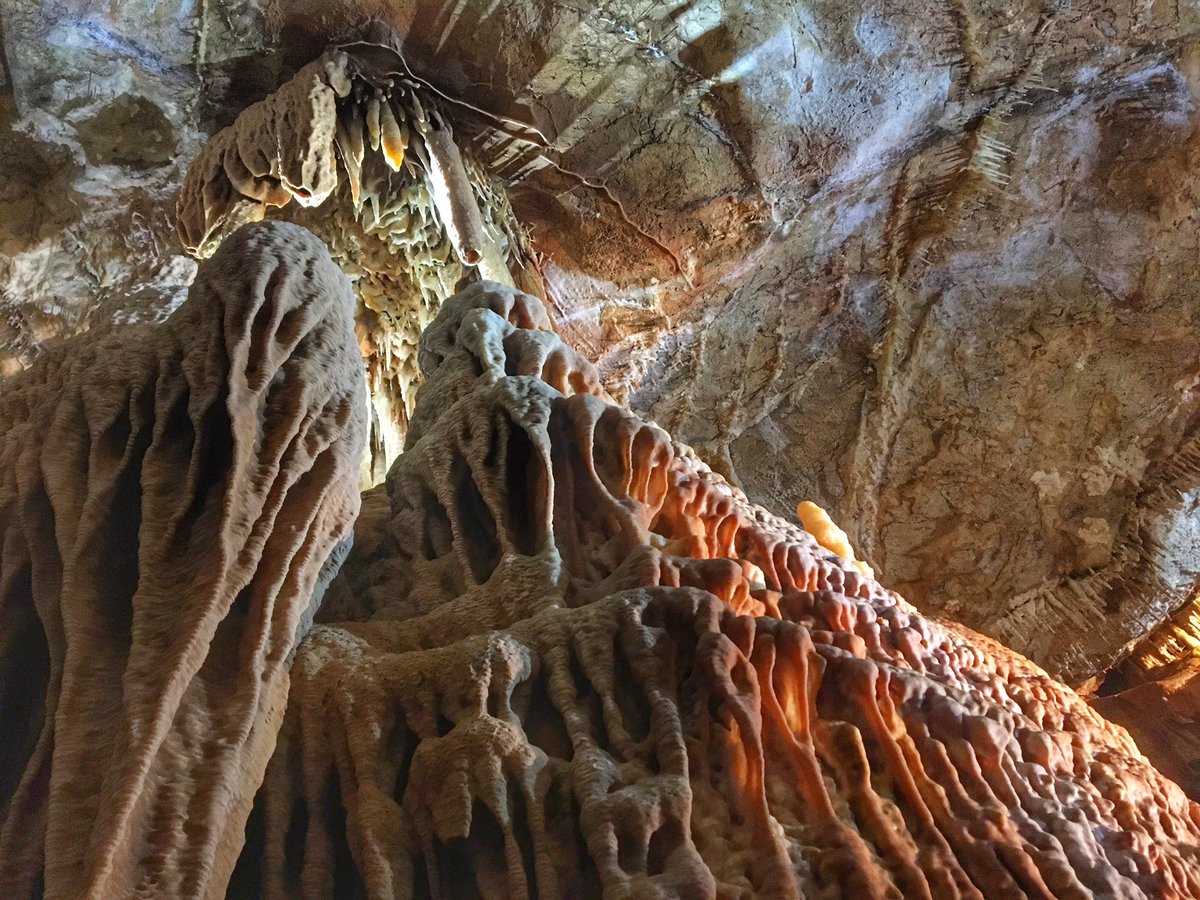 Safari_Ari9's tweet photo. The Australasian Bat Society conference ended on a high note: exploring the Jenolan cave system! The weekend field trip was definitely a highlight, especially seeing the unique habitat that is so crucial for many bat species. 

#caves #bats #fieldtrip #jenolan https://t.co/MfoUAP0sld