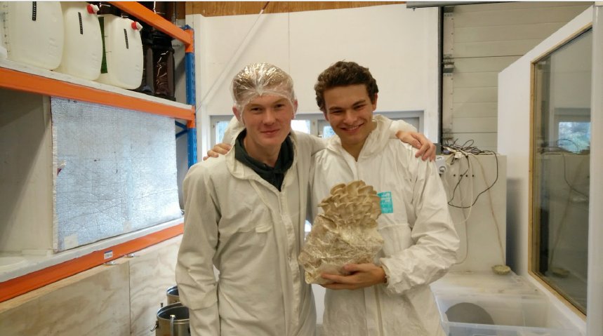 SPARK_Campus's tweet photo. #jankommadeurprijs2018 is gewonnen door Sacha Brons en Wytze Walstra @CollegeHageveld met project Stoeptegels van Schimmels. Lees het hele verhaal: https://t.co/yT4wGrUSzT #mycelium #myceliumlab @AvansHogeschool @jaspersluis https://t.co/3WkfduXAXp