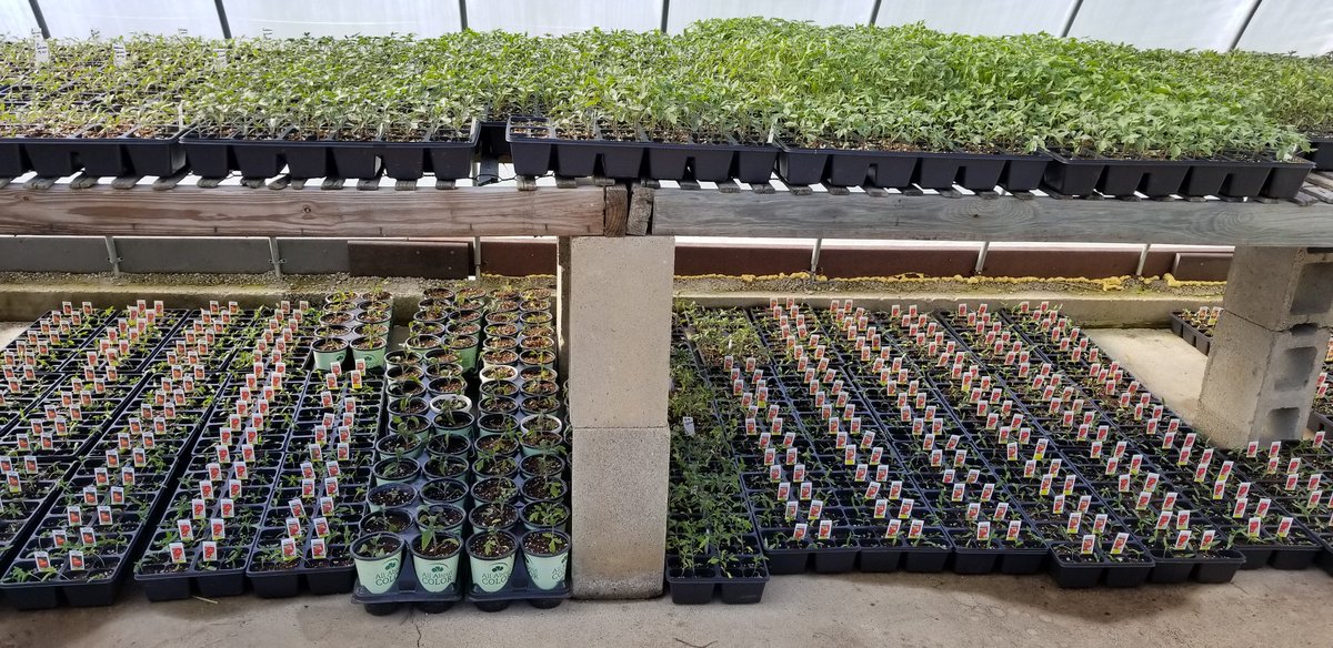 Pride Hill Farm & Garden Center (pride_hill) Twitter