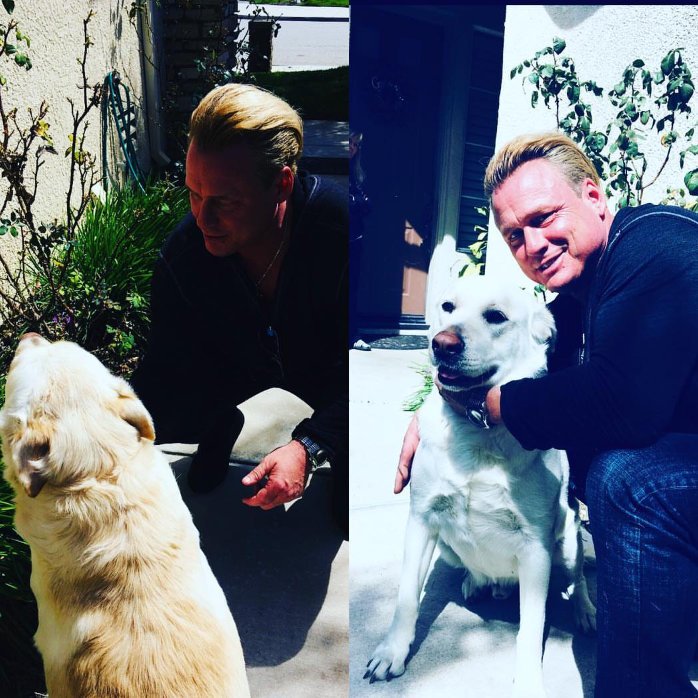 DougMartins4's tweet photo. @dog_feelings my Dog.. he is so big !!!! He always welcomes me with  wet kisses 😏😘🐕#obie https://t.co/P1n74JxcPJ