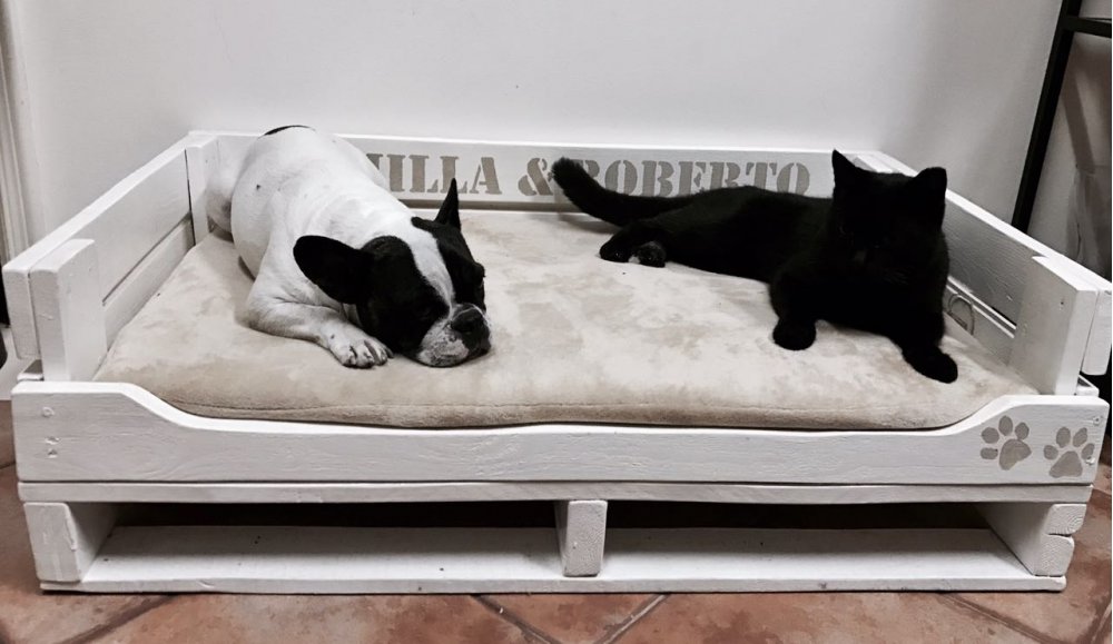 Croutique's tweet photo. Spoil your pet with custom hand made bed pallets 🐶🐶🐶.
>> https://t.co/kmuizy6zFk https://t.co/Mf0U9qYIg4