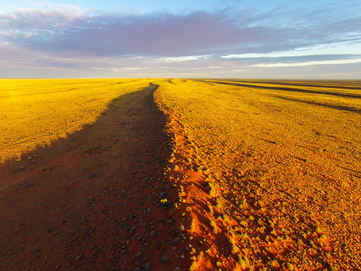 winchandunwind's tweet photo. 1. The famous Simpson Desert was a highlight on our #ExploreAustralia travels. Rolling Sand Dunes &amp; Breathtaking Sunsets✨👌🏼Our #AdventurefromAbove Collection @Australia #SeeAustralia https://t.co/ASzygewysJ