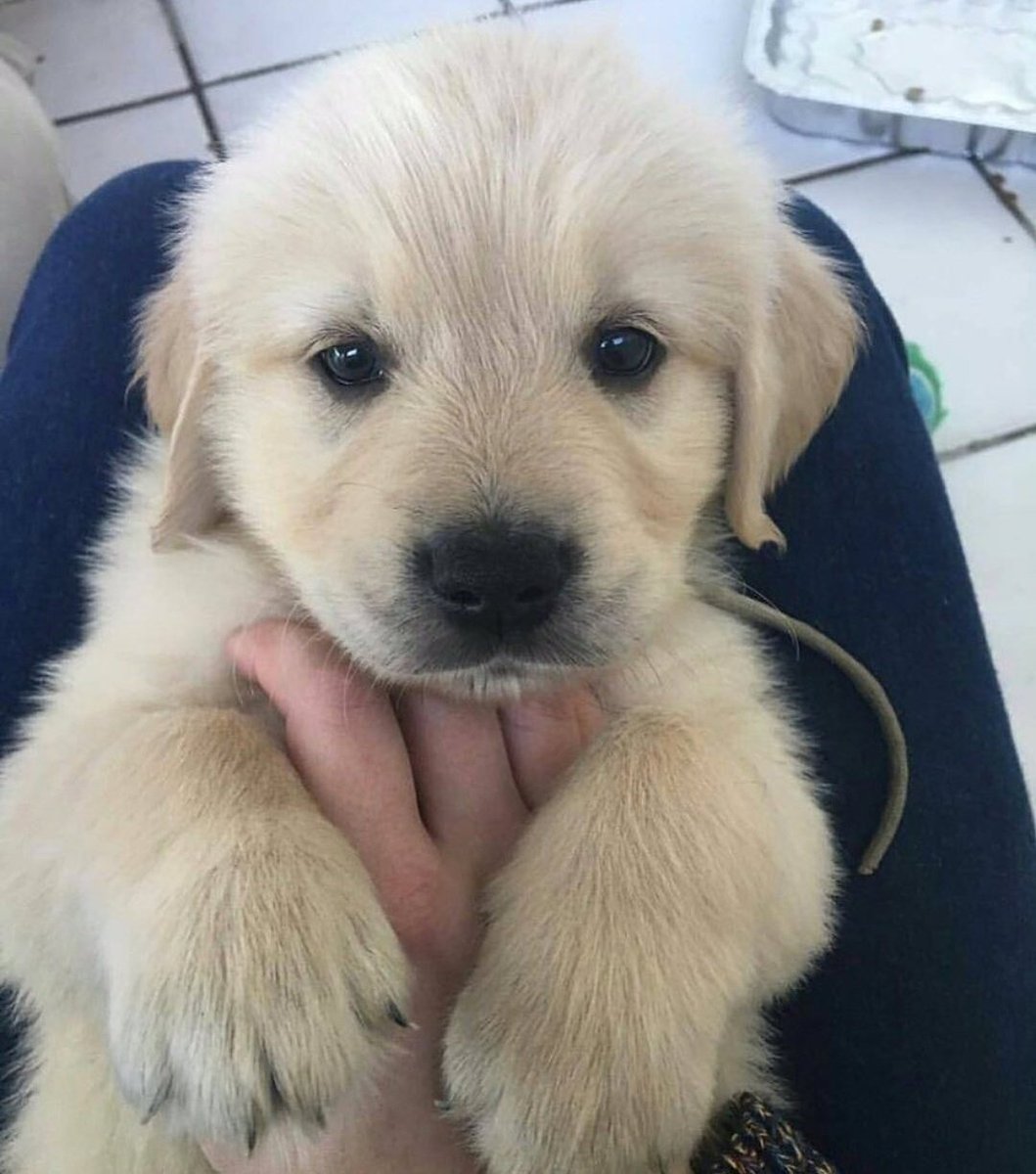 Like if you want him😍