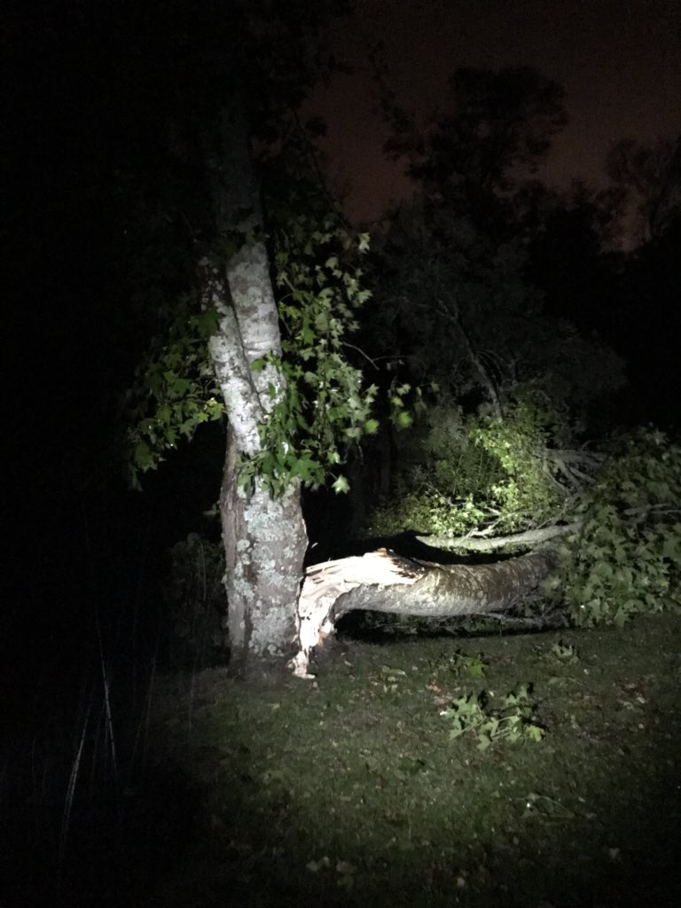 Might be late for work tomorrow <a href="/consultnz/">Consult Recruitment</a> <a href="/angelacameron01/">Angela Cameron</a> <a href="/BeanyRecruiter/">Adam Napper</a> the Beach Haven estate has lost one of its finest