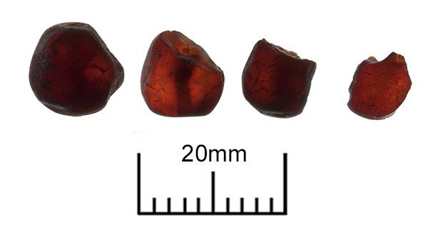 New #archaeology workshop details @antcentre and review of #ceramicthanet posted antoinettecentre.org.uk/?page_id=7 April will be bringing forth #AngloSaxon beads!