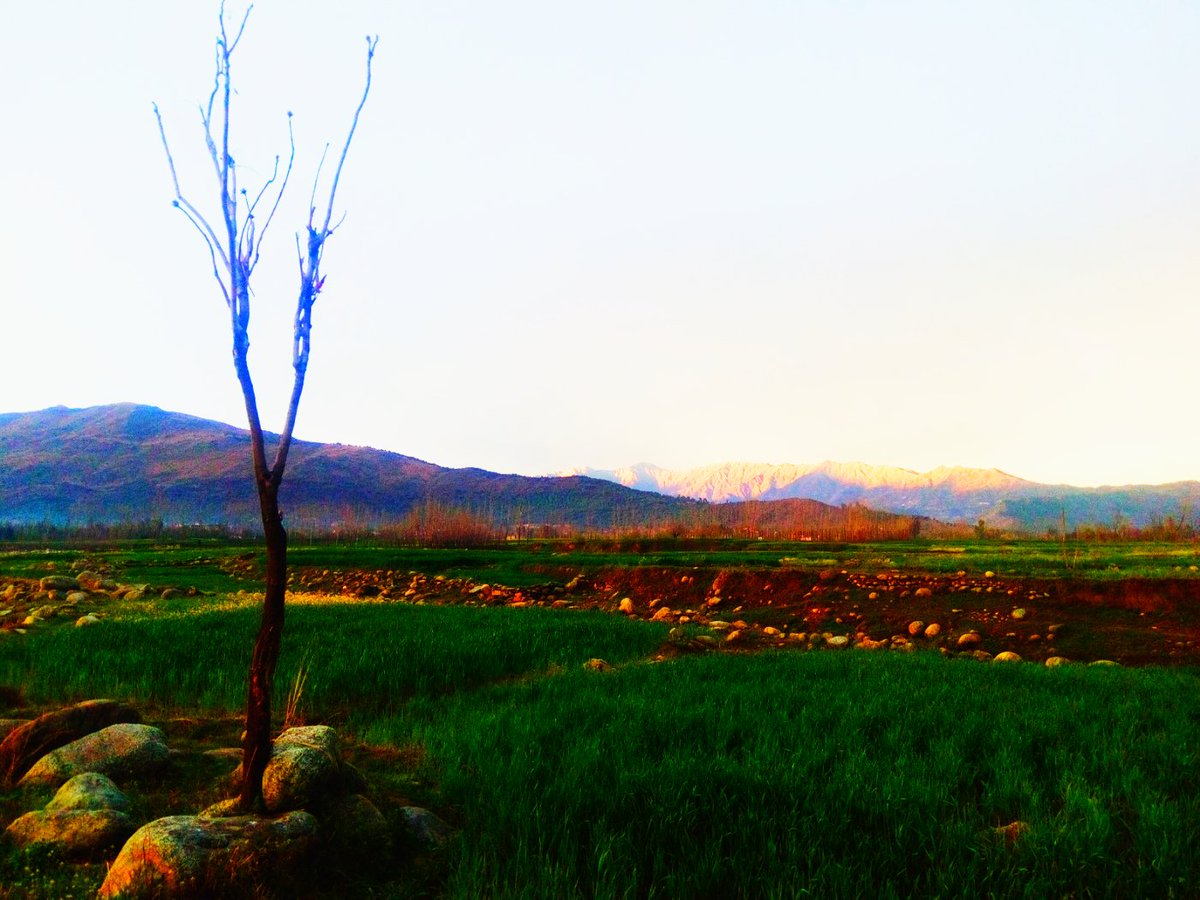 roohullahkhan08's tweet photo. @javerias @Pakistaninpics #Mayar #jandool #SamarBagh #DirLower #khyberpakhtunkhwa #pakistan https://t.co/RdhmzWufYx